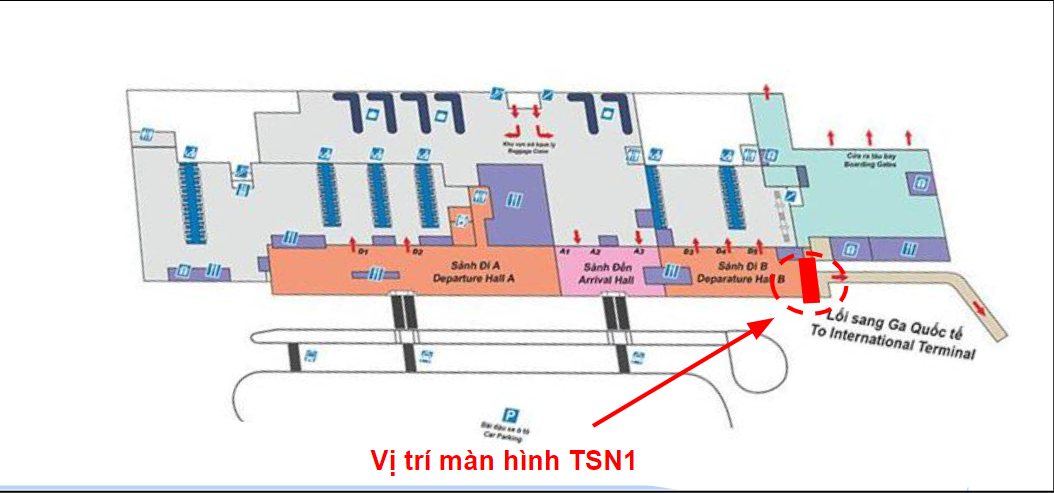 TSN-QN-TSN1-3