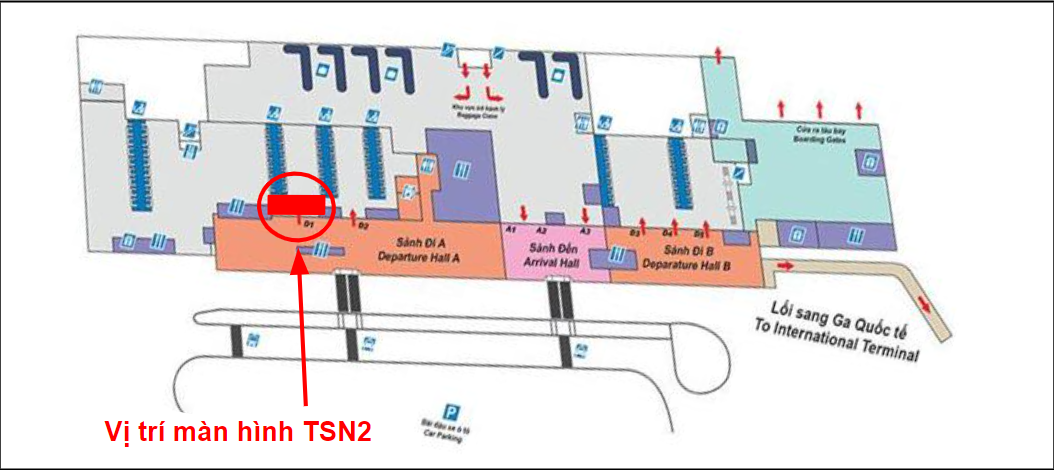 TSN-QN-TSN2-3